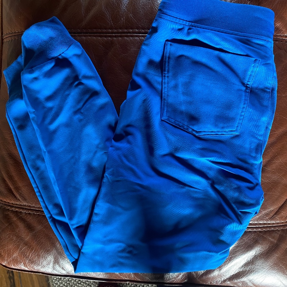 FIGS Joggers Pants